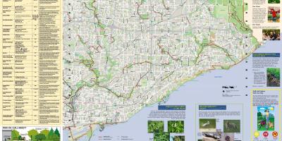 Kart av parker og turstier Toronto East