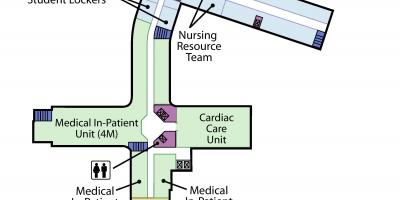 Kartet av St. Joseph ' s Health centre-Toronto-nivå 4
